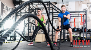 Macro-diet-exercise picture